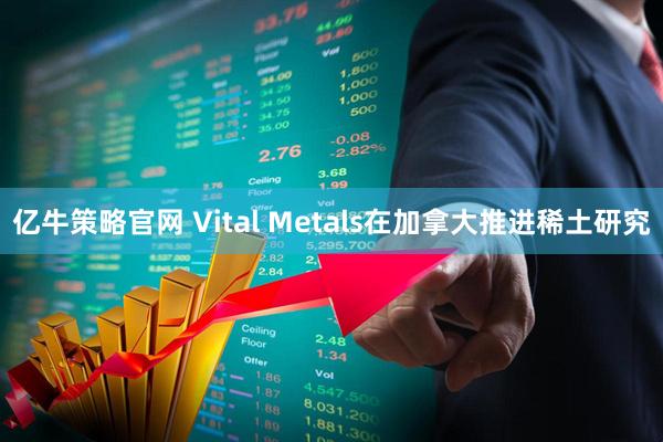 亿牛策略官网 Vital Metals在加拿大推进稀土研究